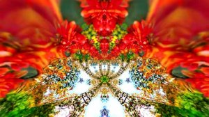 Футажи! Футаж Осенняя волшебная сказка 13! Осеннее волшебство!