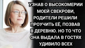 Аудио рассказы. Узнав о высокомерии моей свекрови, родители решили проучить её, позвав в деревню.