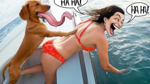 ПОСТАРАЙСЯ НЕ СМЕЯТЬСЯ !!! 🤣🤣🤣