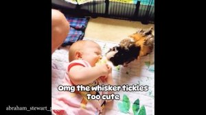 Вы не перестанете восклицать "О-о-о" После этого - Это самые милые моменты с детьми и животными