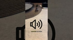 И это учитель. Зуммер. С iq как у устрицы😁Вы бы, друг мой, еще про Крупскую спросили… Она бы вообщ