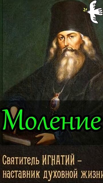 О подвиге. Святитель Игнатий Брянчанинов #молитва #православныйцарь #старцы