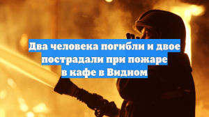 Два человека погибли и двое пострадали при пожаре в кафе в Видном