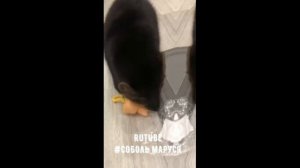 Кто красивый?