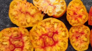 ТОМАТЫ самые СЛАДКИЕ и ВКУСНЫЕ берите в 2026 сезон!