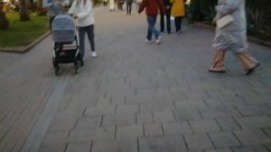 Гуляем по Сочи