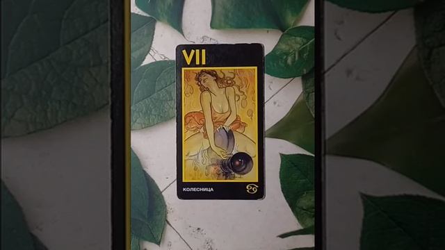 Для начинающих.Таро Манара.Старший аркан Колесница.