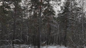 ИИСУС ВСЕМОГУЩИЙ / МОЛИТВА В СНЕЖНОМ ЛЕСУ 🙏🔥