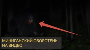 Оборотень найден. Видеозапись супружеской пары из Мичигана шокировала следователей