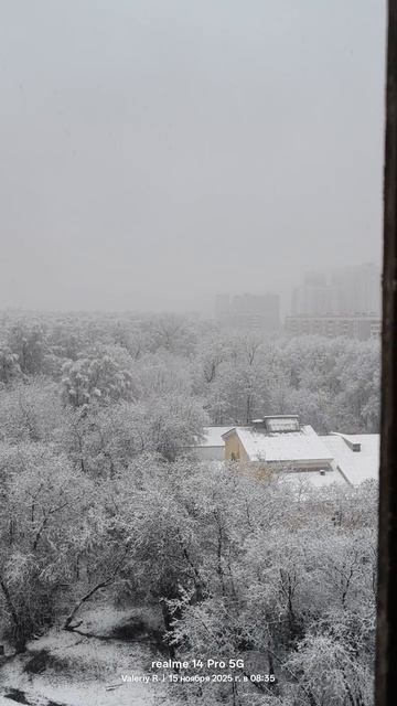 Первый снег в Москве 🌨️❄️ 15.11.2025 смотреть онлайн