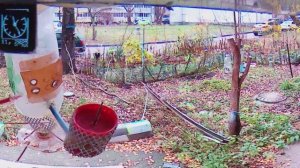 В генеральную прокуратуру РФ Нарушения ПДД и САНПИН