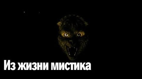 Мистика. Страшные Истории _