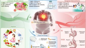 Индивидуальный подход к ожирению у пациентов с сердечно-сосудистыми и метаболическими заболеваниями