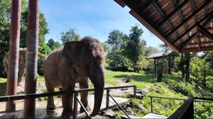 Таиланд, Паттайя зоопарк Кхао Кхео. 15.11.2025