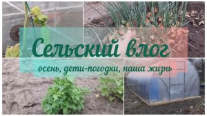 ОГУРЦЫ В НОЯБРЕ, зелёный лук в теплице. Тепличные Новости. Сельский влог.
