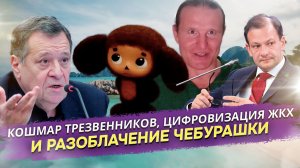 «Сухой закон» на Новый год, домовые чаты в Max и еврейский Чебурашка: ШОК-новости недели