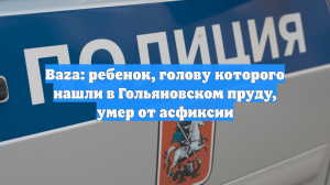 Baza: ребенок, голову которого нашли в Гольяновском пруду, умер от асфиксии