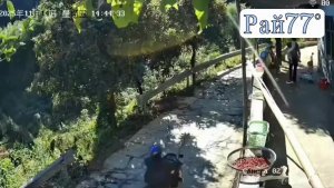 Скрылись из-под колёс