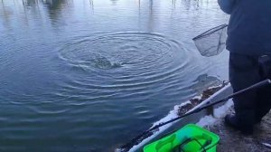 WhatsApp Video 2025-11-16 at 09.56.23