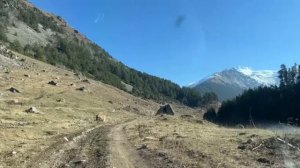 Карачаевский Джилы-Суу