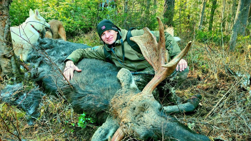 ОСЕННЯЯ ОХОТА НА ЛОСЯ! ДОБОР ПОДРАНКА С ЛАЙКАМИ! НАШЛИ СТАРЫЙ СОЛОНЕЦ. смотреть онлайн
