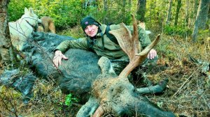 ОСЕННЯЯ ОХОТА НА ЛОСЯ! ДОБОР ПОДРАНКА С ЛАЙКАМИ! НАШЛИ СТАРЫЙ СОЛОНЕЦ.