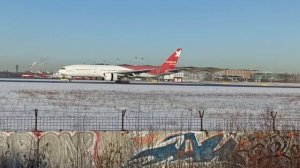 Большая птичка в Пулково .