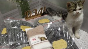 Продолжаем работать 17  ноября 2025 г.