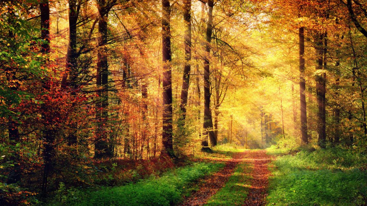 бронзовый век