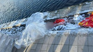 Человеческие останки в пакете нашли в пруду на востоке Москвы