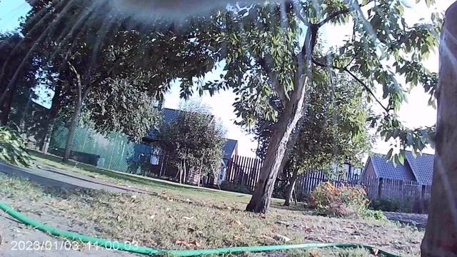 кот с камерой 3 анука давай-ка