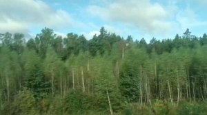 ВОКЗАЛ.. ПЕНЗА... Уезжаю.. Дневной экспресс. Пенза_Самара... А за окном.....