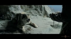 спящий зверь.mp4