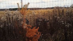 Едем в соседнее село