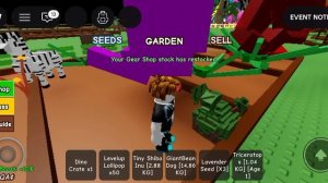 я получил радужную большую собаку в вырасти сад