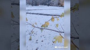 Первый снег