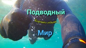 Анапа Подводный мир 16.11.2025