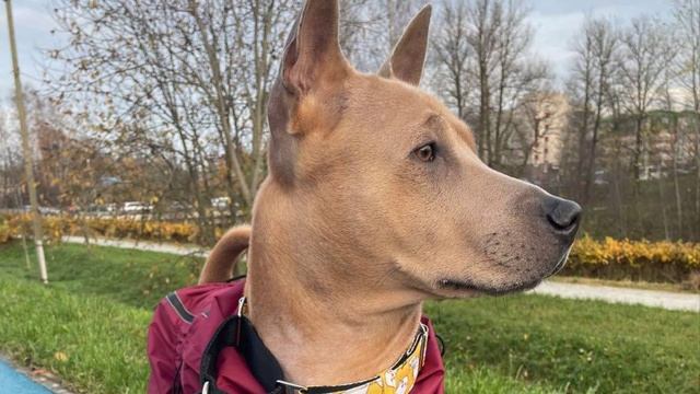 с днем рождения, бусинка :)