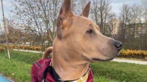 с днем рождения, бусинка :)