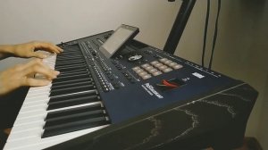 New Euro Disco Style - Love Theme & Danekoo1 ( Korg Pa 5x Musicant) 2025]