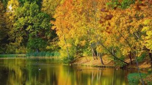 Красивая расслабляющая Музыка 🍁 Музыка для снятия стресса с Осенней Мелодией