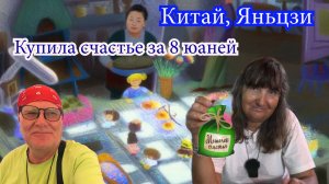 Счастье за 8 юаней на торговой улице. Китай, Яньцзи