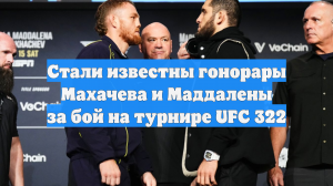 Стали известны гонорары Махачева и Маддалены за бой на турнире UFC 322