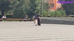 НЕОЖИДАННО В ЦЕНТРЕ ГОРОДА ДРЕССИРОВКА СОБАКИ / ТАК МИЛО