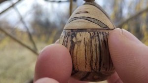 Шкатулка среди листвы ноябрьской ивы