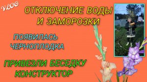 Сучкорез и пила- веток нет/ Внеплановое отключение воды и заморозки/ Привезли беседку конструктор