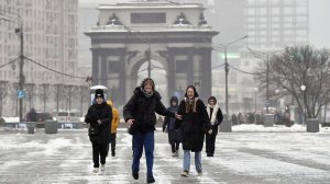 Лед на деревьях и дорогах. Метели сменились на гололедицу в Москве