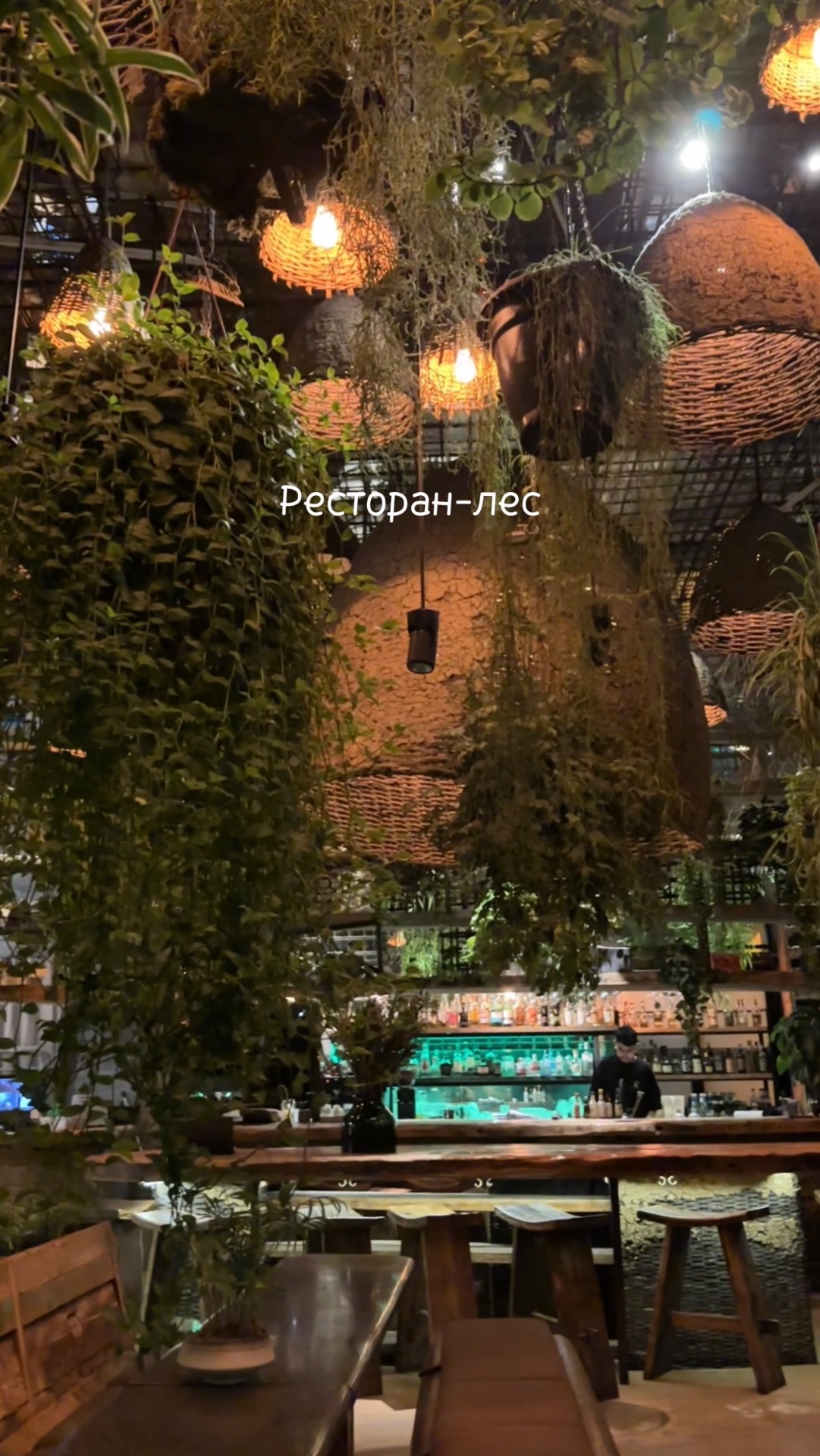 Идём в ДЖУНГЛИ в Москве #sempre