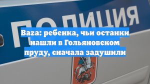 Baza: ребенка, чьи останки нашли в Гольяновском пруду, сначала задушили