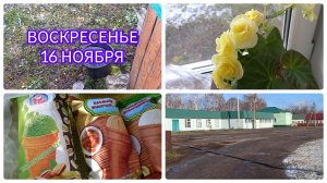 Воскресенье👋🌞16.11.25. Выпал первый снег❄️